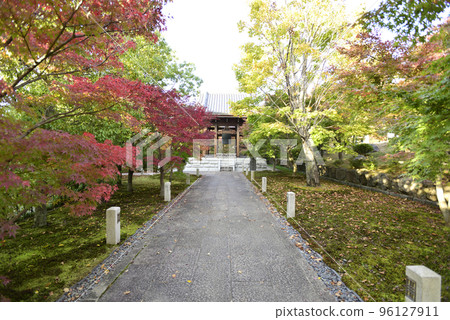Chishakuin Momiji Chishakuin Momiji 96127911