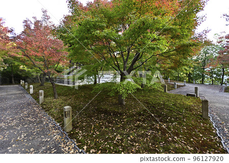 Chishakuin Momiji 96127920