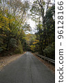秋天通行證路 96128166