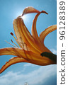 Needle flower 96128389