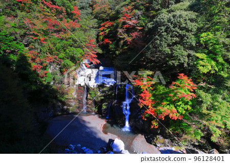 [德島縣]紅葉高峰時的音力瀑布 96128401
