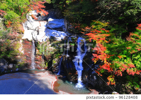 [Tokushima Prefecture] Otodoroki Waterfall in the peak of autumn leaves 96128408