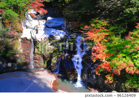 [Tokushima Prefecture] Otodoroki Waterfall in the peak of autumn leaves 96128409