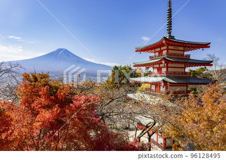 從新倉山淺間公園看到的紅葉富士山 96128495