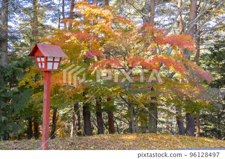 Autumn in Arakurayama Sengen Park and Mt. Fuji 96128497