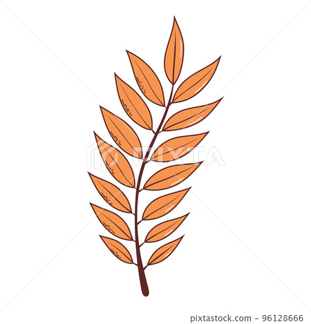 Autumn leaf. Vector illustration in hand drawn style Autumn leaf. Vector illustration in hand drawn style 96128666