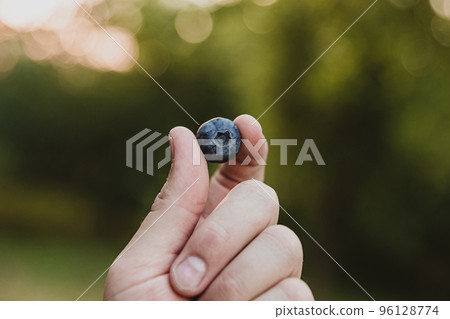 Close up of fingers holding a single blueberry on the blurred green background. Concept of healthy food and antioxidant. Ripe blue berry between fingertips. Copy space area. High quality photo Close up of fingers holding a single blueberry on the blurred green background. Concept of healthy food and antioxidant. Ripe blue berry between fingertips. Copy space area. High quality photo 96128774