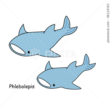 古老的魚Phlebolepis無鰭魚插圖類似於鯨鯊 古老的魚Phlebolepis無鰭魚插圖類似於鯨鯊 96129165