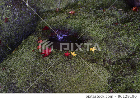 Gohodo Benzaiten Autumn leaves Gohodo Benzaiten Autumn leaves 96129190