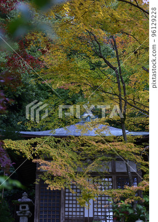 Gohodo Benzaiten秋葉 96129228