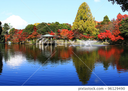 富山縣高岡湖城公園的秋葉風光 96129490