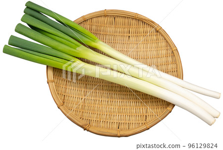 Long onion green onion 96129824