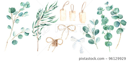 Eucalyptus branches, white lace and jute cord bow, vintage paper tags set. Willow, silver dollar, true blue, baby and seeded eucalyptus. Botanical illustration isolated on white background. Watercolor 96129929