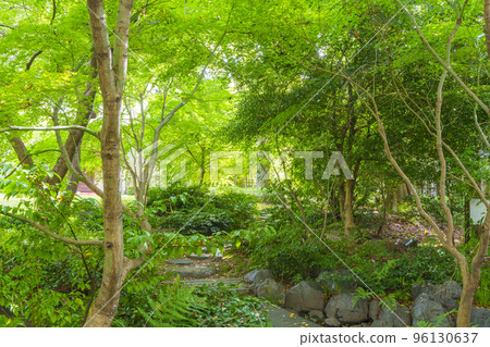 The beautiful Japanese garden of the Former Sakuranomiya Public Hall where you can feel the four seasons 96130637