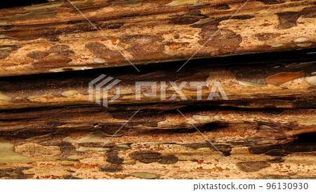 processed bark pattern 96130930