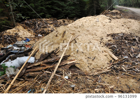 Garbage and sawdust in the forest 96131099