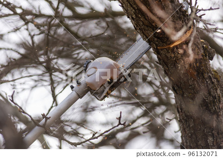 Pole saw cutting tree branch 96132071