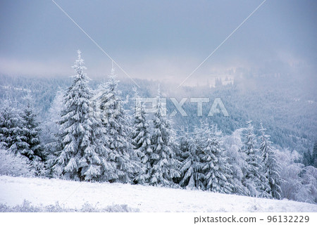 Fairy snowy winter Christmas landscape Fairy snowy winter Christmas landscape 96132229