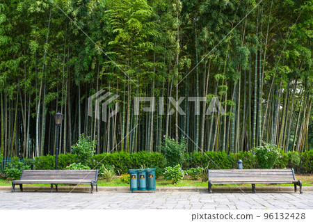 Park with benches, on a background the bamboo forest. Bamboo forest 96132428