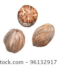 Nutmeg Watercolor. Isolate. Illustration for clipart. Designed for menus, culinary blogs, packaging, textiles, web design, sites, stickers, invitations, patterns, logos. Drawn by hand. 96132917