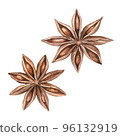 Anise Watercolor. Isolate. Illustration for clipart. Designed for menus, culinary blogs, packaging, textiles, web design, sites, stickers, invitations, patterns, logos. Drawn by hand. 96132919