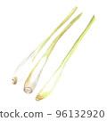Lemongrass Watercolor. Isolate. Illustration for clipart. Designed for menus, culinary blogs, packaging, textiles, web design, sites, stickers, invitations, patterns, logos. Drawn by hand. 96132920
