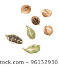 Cardamon Watercolor. Isolate. Illustration for clipart. Designed for menus, culinary blogs, packaging, textiles, web design, sites, stickers, invitations, patterns, logos. Drawn by hand. 96132930