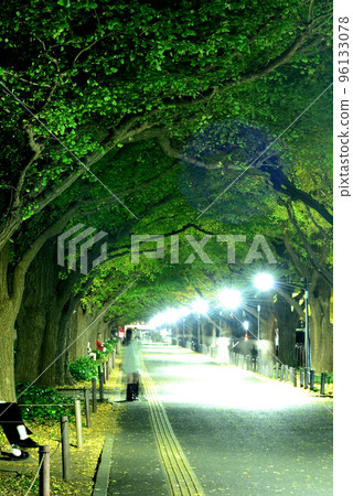 明治神宮外苑銀杏樹和紅葉夜景 明治神宮外苑銀杏樹和紅葉夜景 96133078