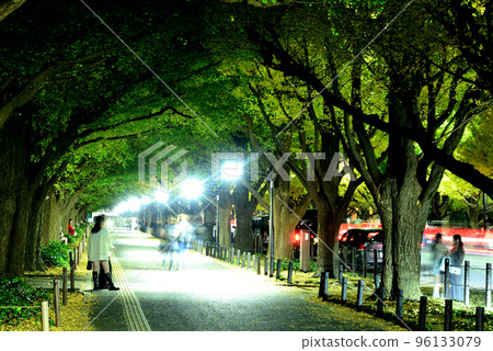 明治神宮外苑銀杏樹和紅葉夜景 96133079