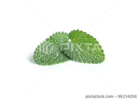 Concept of aromatherapy, mint isolated on white background 96134208