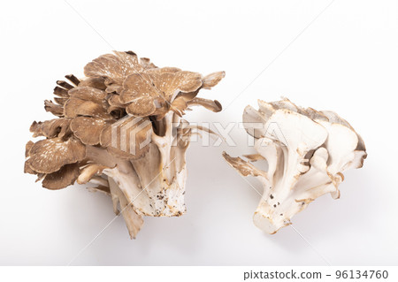 秋田縣原木舞茸 96134760