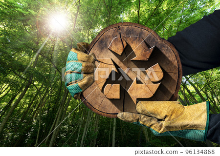 Cross Section of a Tree Trunk with a Wooden Recycle Symbol - Sustainable Resources Cross Section of a Tree Trunk with a Wooden Recycle Symbol - Sustainable Resources 96134868