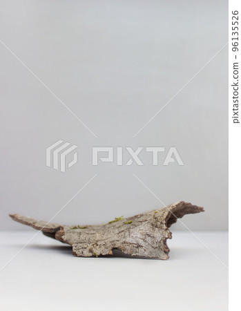 empty bark of tree podium minimalism on grey background. Copy space, place for text. vertical photo 96135526
