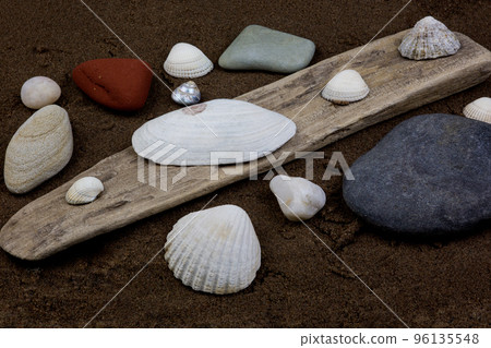 Driftwood with Sea Shells and Pebbles on a Wet Sandy Beach 96135548