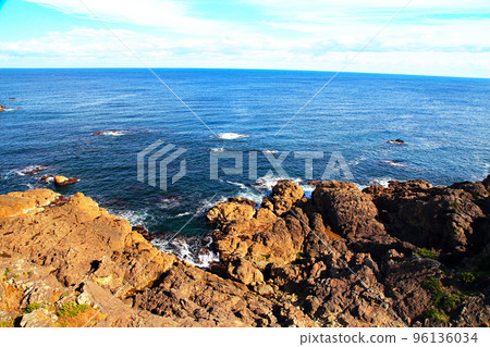 物種海岸 96136034