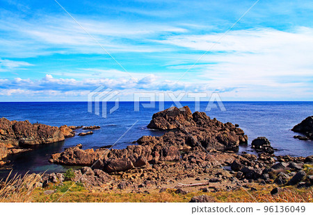 物種海岸 物種海岸 96136049