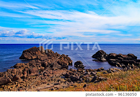 物種海岸 物種海岸 96136050