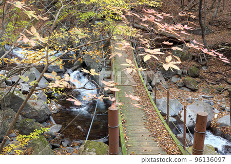 thunderbolt suspension bridge thunderbolt suspension bridge 96136097