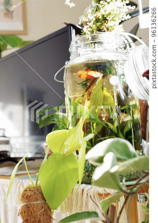 A vertical photo of the Betabottle Aquarium from a distance⑤ 96136266