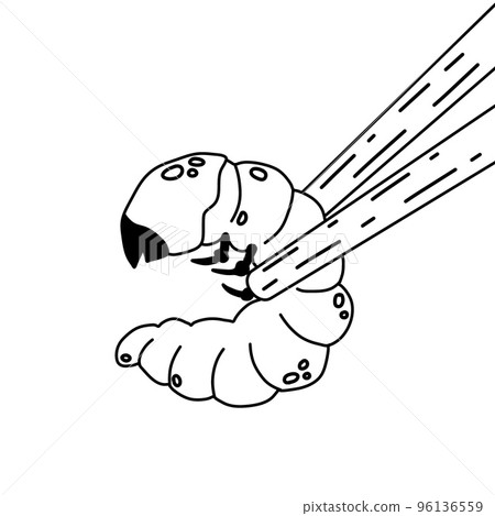 Edible larva. Eating caterpillar with chopsticks. Asian snack and street fast food. Source of insect protein. 96136559