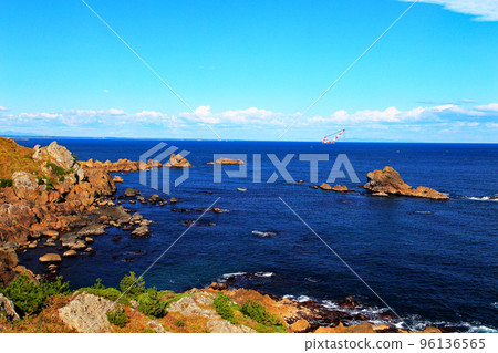 Species coast Species coast 96136565