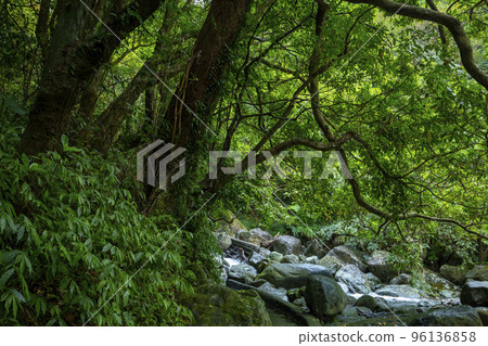小溪流，山谷，溪流，河流，小川、谷、小川、川、small streams, valleys, 96136858