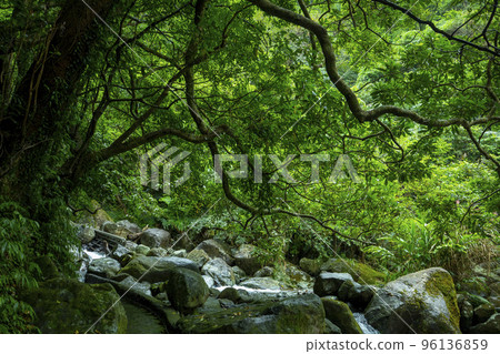 小溪流，山谷，溪流，河流，小川、谷、小川、川、small streams, valleys, 96136859