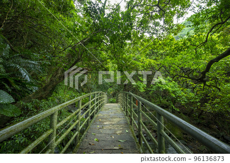 森林步道,溪谷,拱橋,橋,林道、峡谷、アーチ橋、橋、Forest trails, ravines, 森林步道,溪谷,拱橋,橋,林道、峡谷、アーチ橋、橋、Forest trails, ravines, 96136873