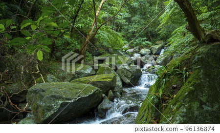 森林,溪流,山泉,臺灣,森、小川、山の泉、台湾、forest, stream, mountain 森林,溪流,山泉,臺灣,森、小川、山の泉、台湾、forest, stream, mountain 96136874