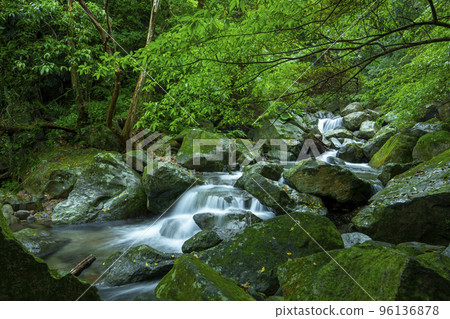 森林，溪流，山泉，臺灣，森、小川、山の泉、台湾、forest, stream, mountain 96136878