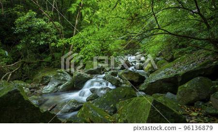 森林，溪流，山泉，臺灣，森、小川、山の泉、台湾、forest, stream, mountain 96136879