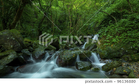 森林，溪流，山泉，臺灣，森、小川、山の泉、台湾、forest, stream, mountain 96136880