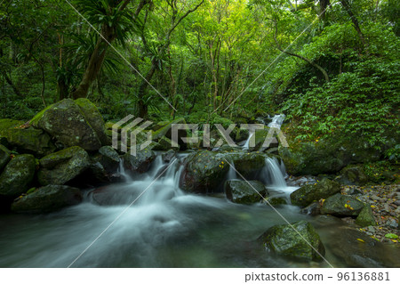 森林,溪流,山泉,臺灣,森、小川、山の泉、台湾、forest, stream, mountain 森林,溪流,山泉,臺灣,森、小川、山の泉、台湾、forest, stream, mountain 96136881