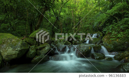 森林，溪流，山泉，臺灣，森、小川、山の泉、台湾、forest, stream, mountain 96136883